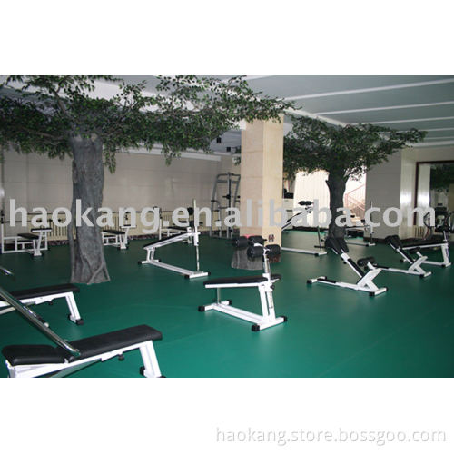 PVC Flooring For Yoga Room/Gym Flooring